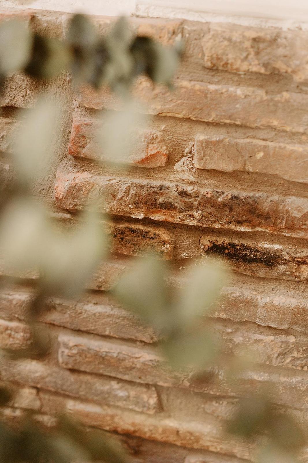 Hostal Pichorradicas Tudela Exterior photo